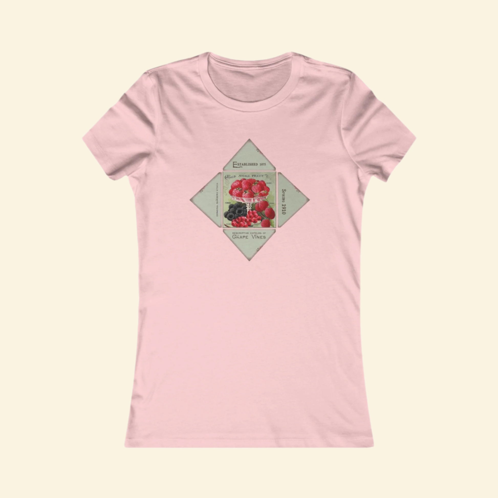 Fancy Fruit Graphic Women's Favorite Tee - Vintage Style Art