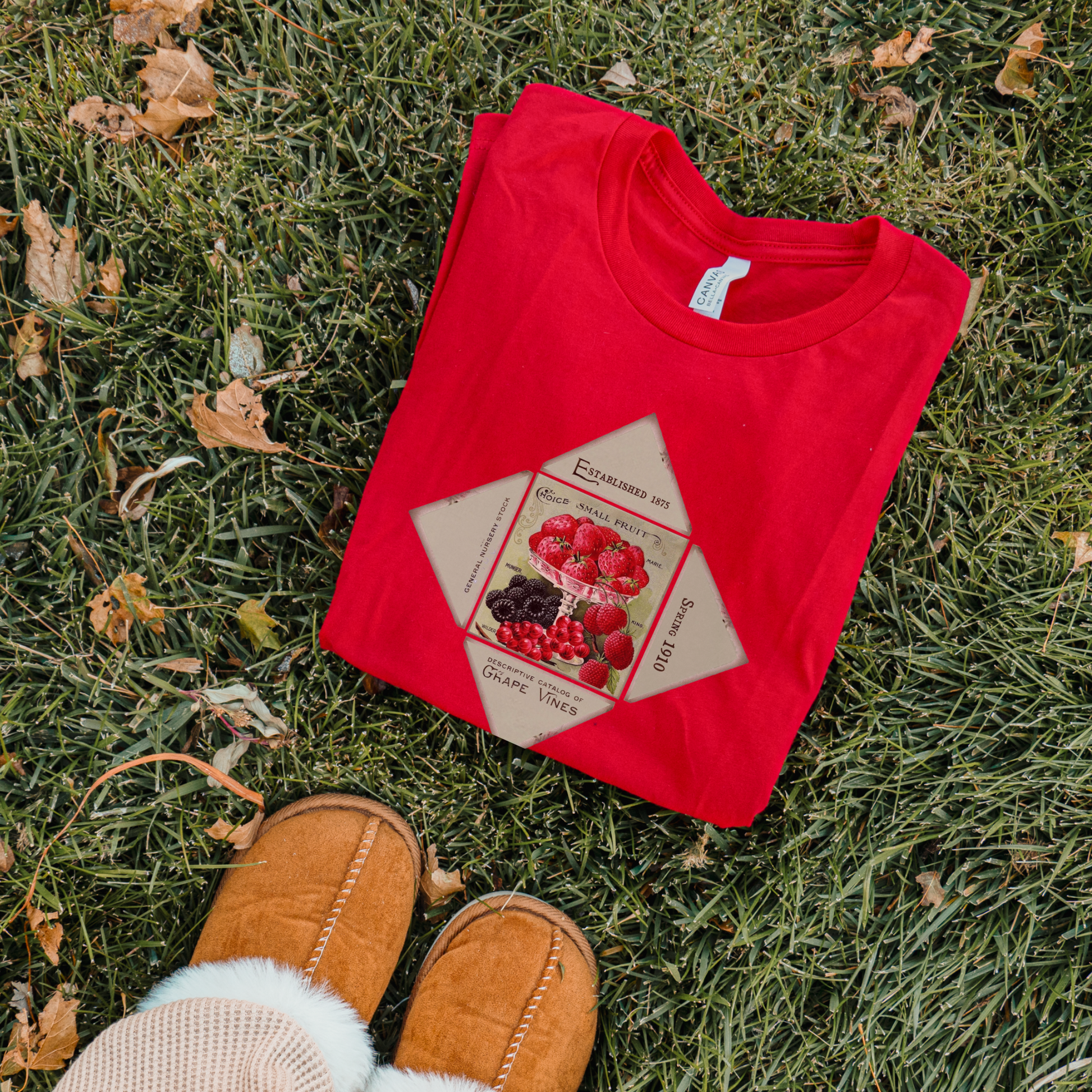 Fancy Fruit Graphic Women's Favorite Tee - Vintage Style Art